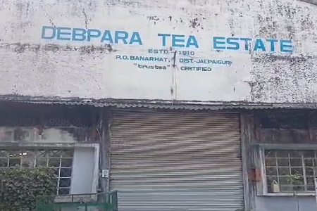 tea-estate.png