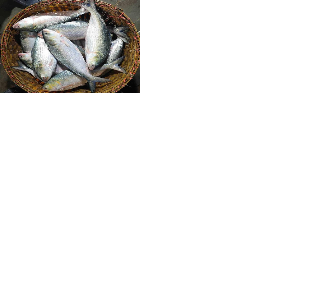 ILISH.png