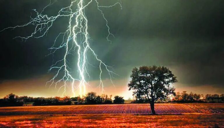 Bihar-lightning.jpeg