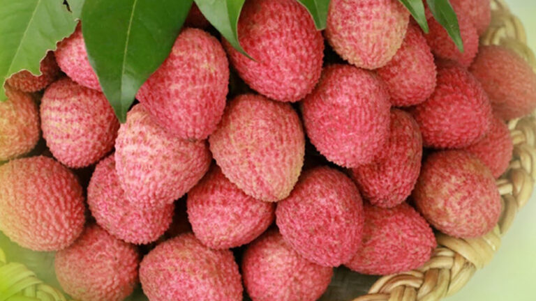 LICHI.jpg