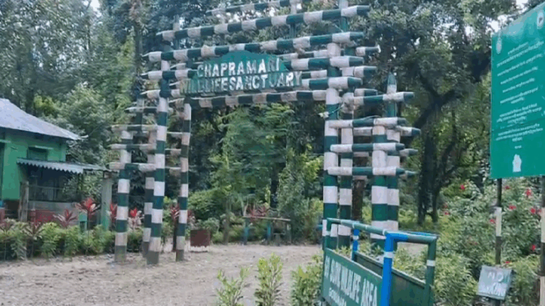 ALIPUR.png