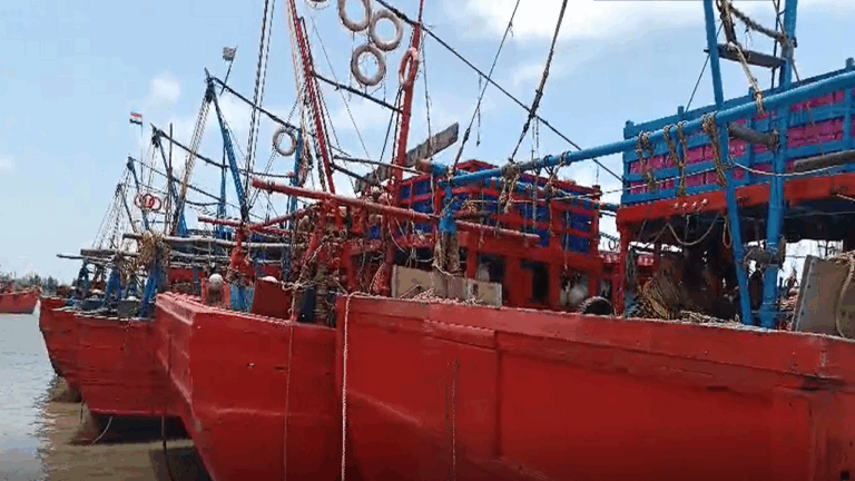 digha-hilsha.png