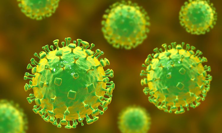Nipah-and-Hendra-virus-attack-neutralised-by-potent-antibody-750x450.jpg