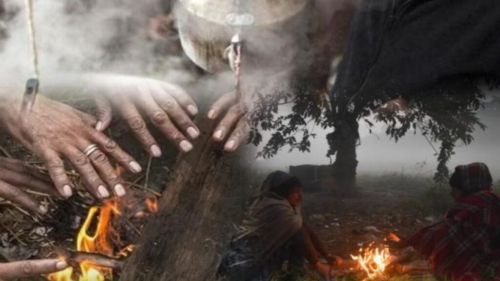 WhatsApp Image 2026-01-12 at 11.01.22