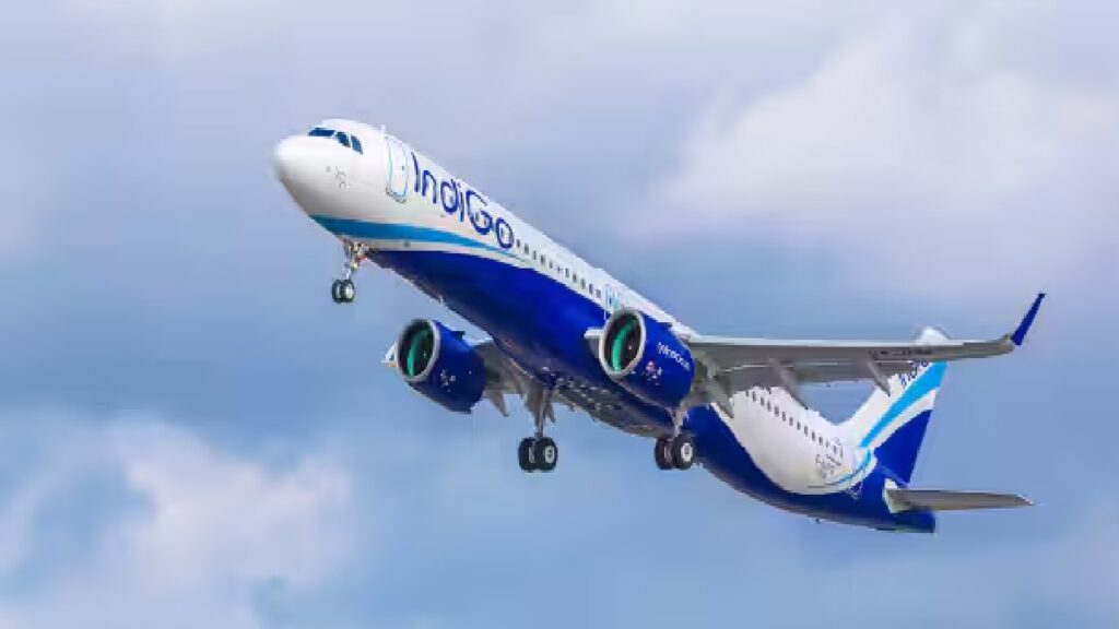 indigo.jpg