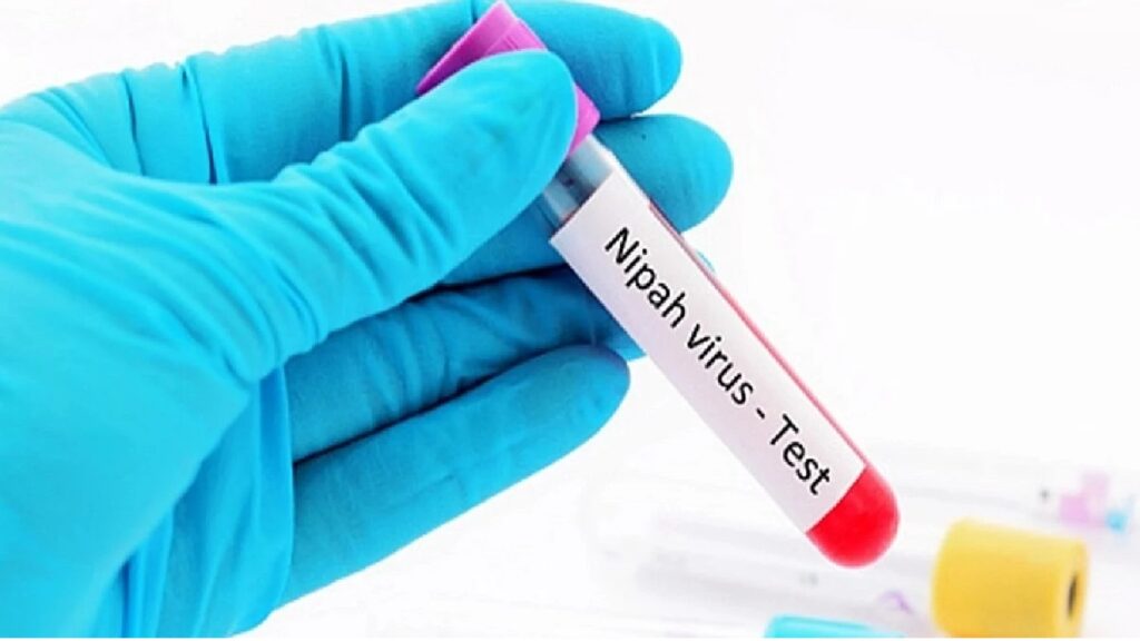 nipah.jpg