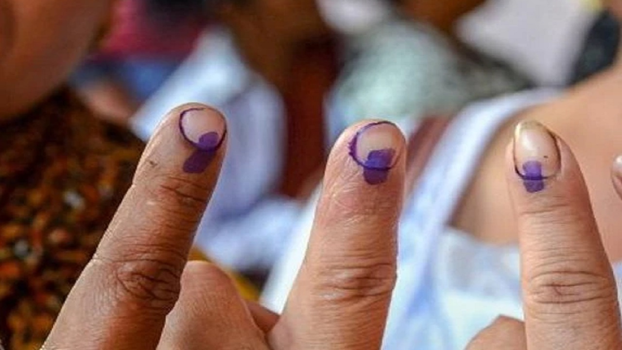 voter-df.jpg
