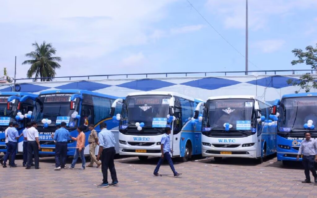 BUS.jpg
