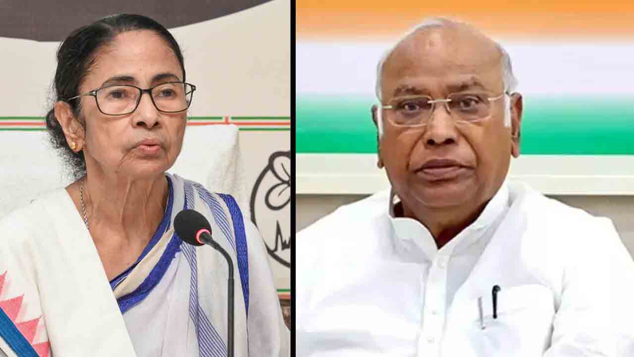 Mamata.jpg