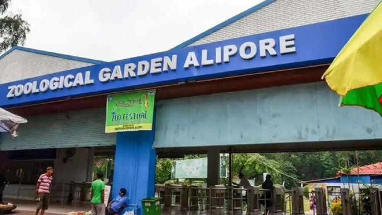 alipore-zoo.png
