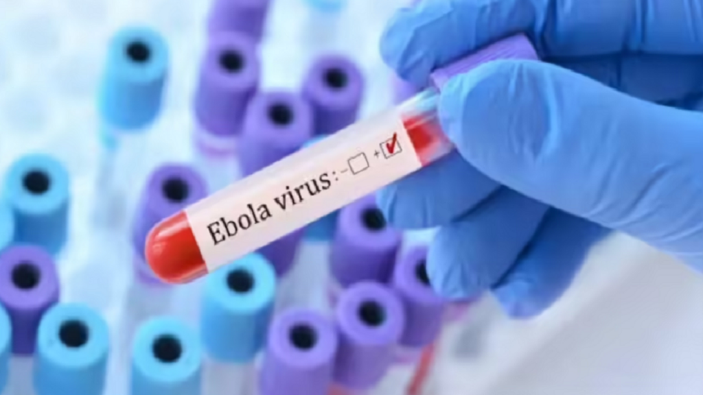 ebola-virus.png