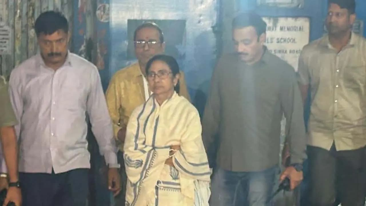 mamata.png