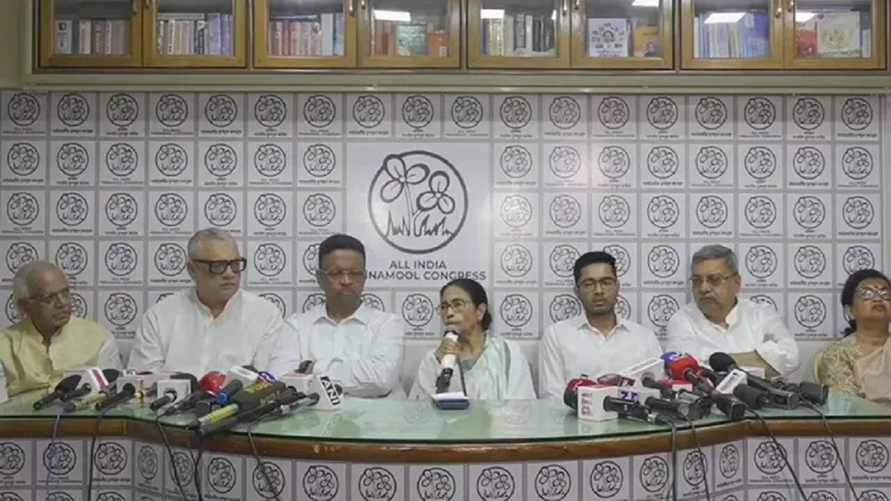 mamta.png