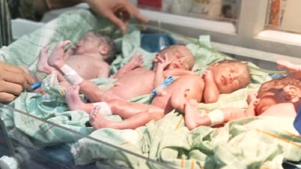 new-born.jpg