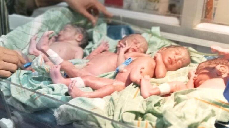 new-born.jpg