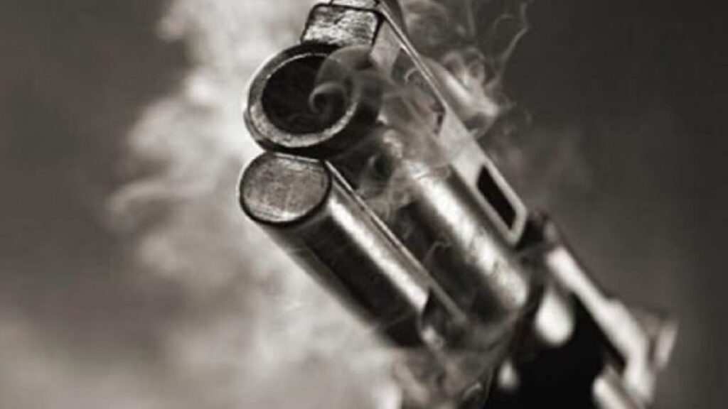gun.jpg