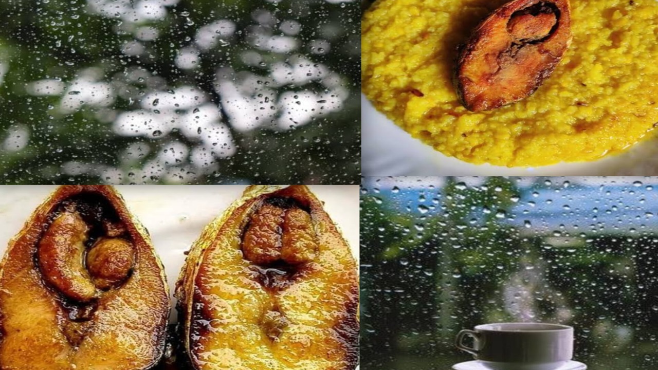 WhatsApp Image 2026-07-06 at 11.14.54