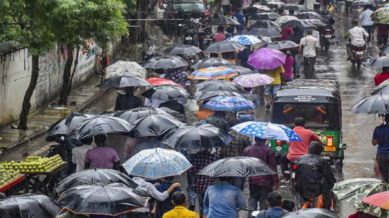 dgt.png