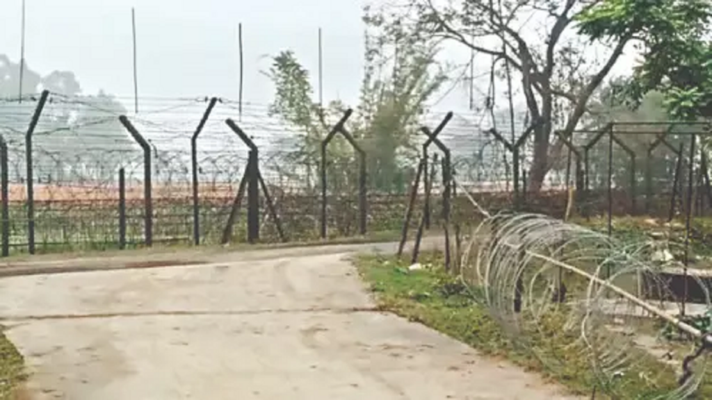 hili-border.png