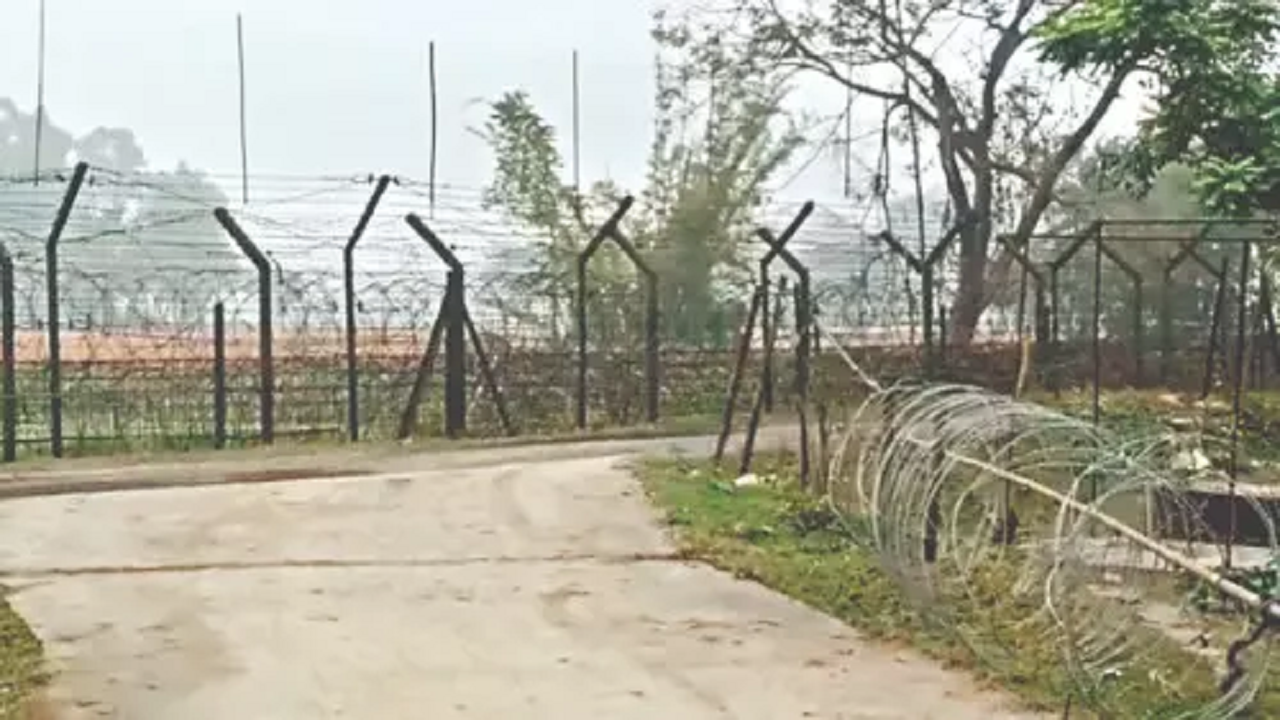 hili-border.png