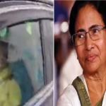 jaya-mamata.png