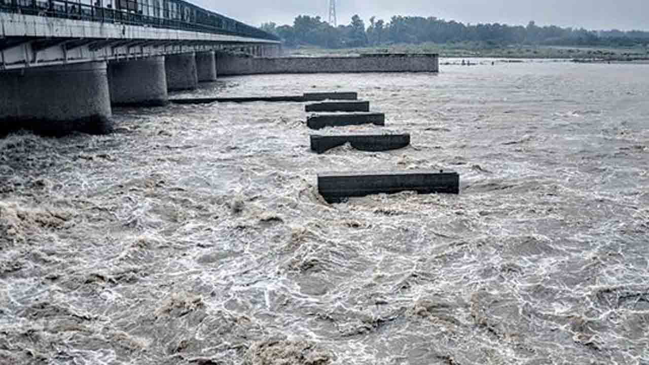 Jamuna.jpg