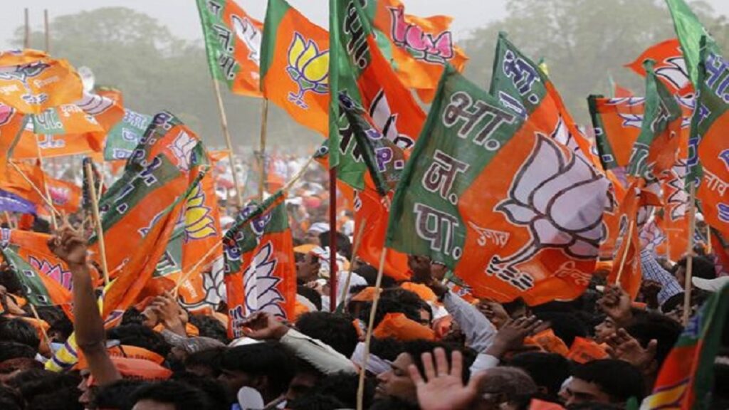 bjp-flag.jpg