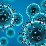 virus-sized.jpg