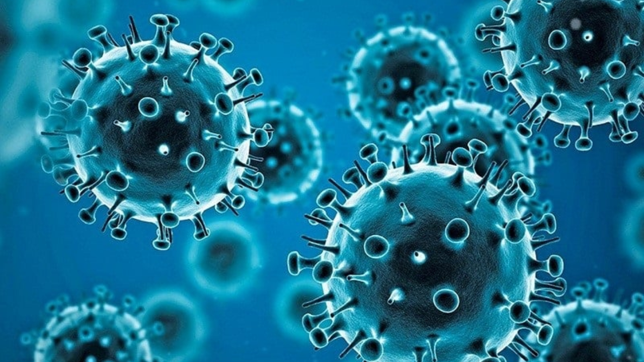 virus-sized.jpg