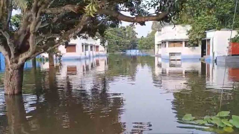 Malda.jpg