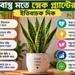 WhatsApp-Image-2026-09-18-at-12.45.41-1.jpeg