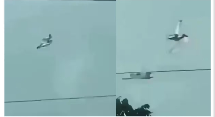 1000398524.jpg