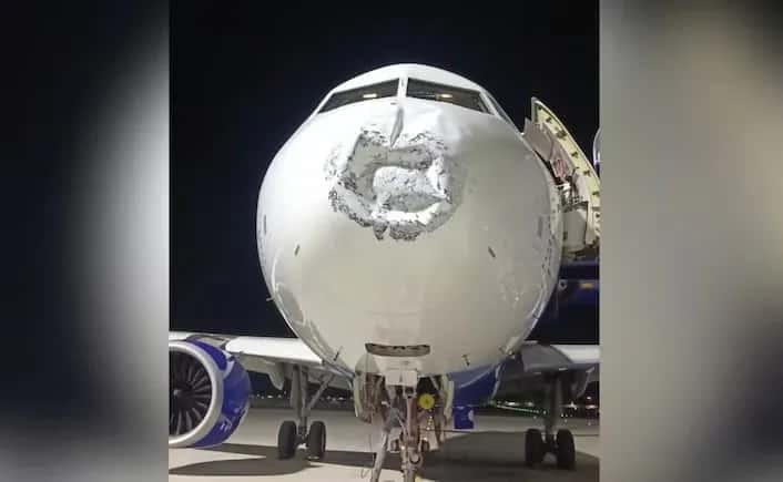 indigo.jpg